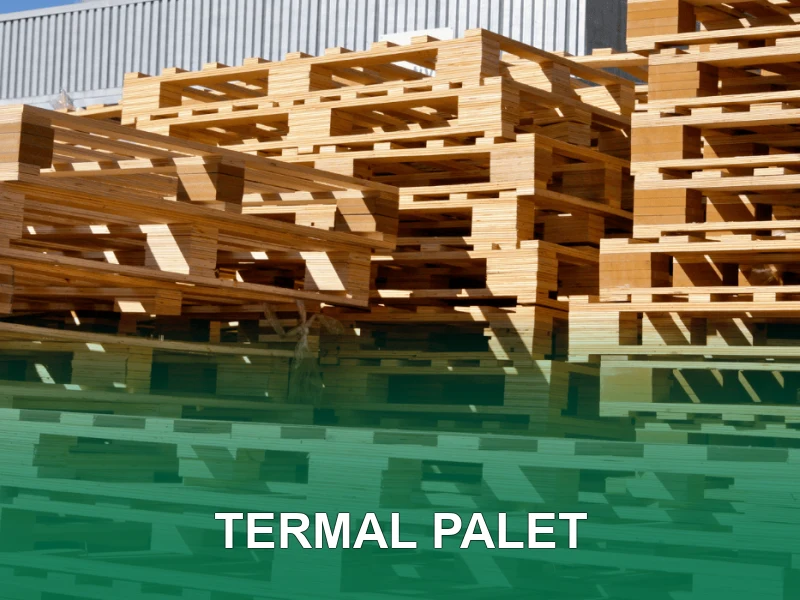 Termal Palet Galeri 1