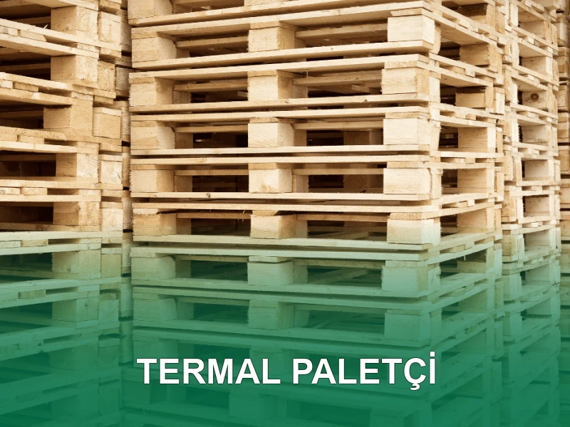 Termal Palet Galeri 2