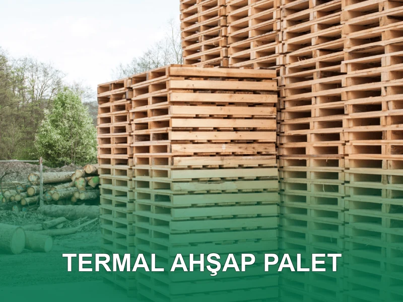 Termal Palet Galeri 4